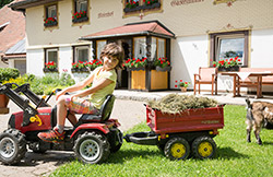 Meierhof St.Märgen